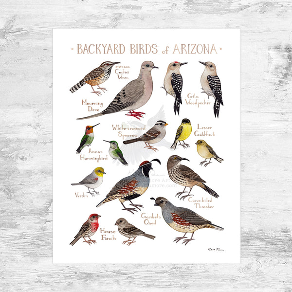 BIRD SHEET 15個セット 8x10backyardbirdsofarizonasm_g