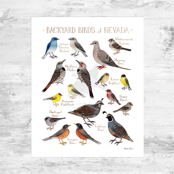 Nevada Backyard Birds Field Guide Art Print Mini (8x10) – Kate