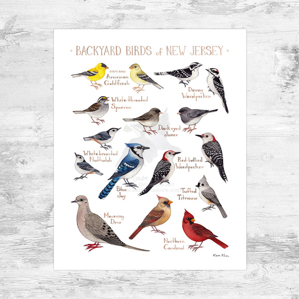 New Jersey Backyard Birds Field Guide Art Print Mini (8x10) – Kate