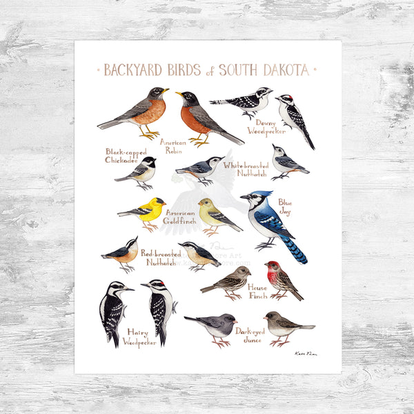 South Dakota Backyard Birds Field Guide Art Print Mini (8x10