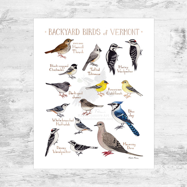 Audubon 15個セット SHEET BIRD Park Count 1 lbs., 15 Dry, Food, Bird Wild Variety Extreme 鳥雑貨・オーナーズグッズ