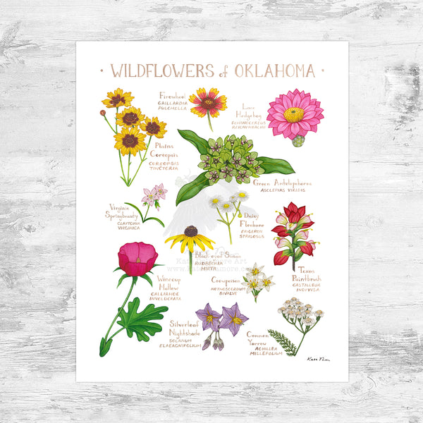 Oklahoma Wildflowers Field Guide Art Print Mini (8x10) – Kate
