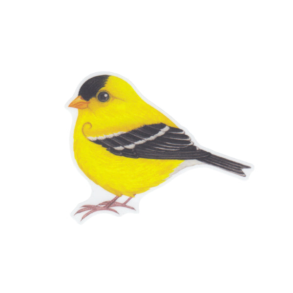 American Goldfinch Vinyl Sticker