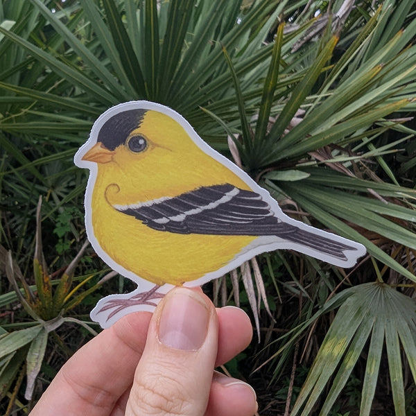 American Goldfinch Vinyl Sticker