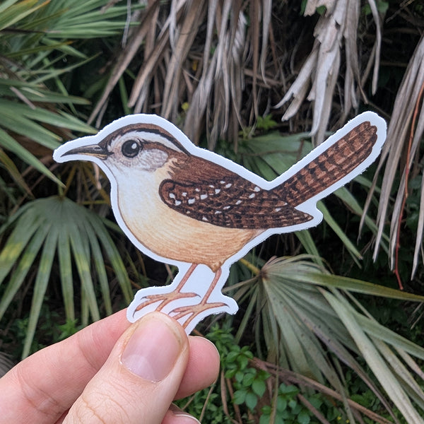 Carolina Wren Vinyl Sticker