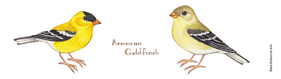 American Goldfinch 10 oz. Camp Mug