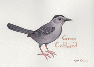 Gray Catbird 7x5 Original Watercolor Painting