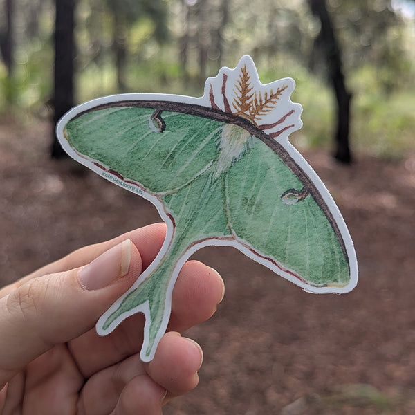 Luna Moth Vinyl Sticker