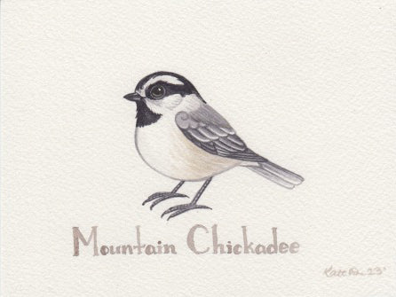 Mountain Chickadee 6x4.5 Original Watercolor Painting