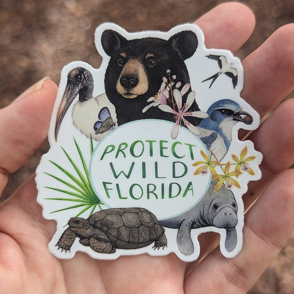 "Protect Wild Florida" Vinyl Sticker