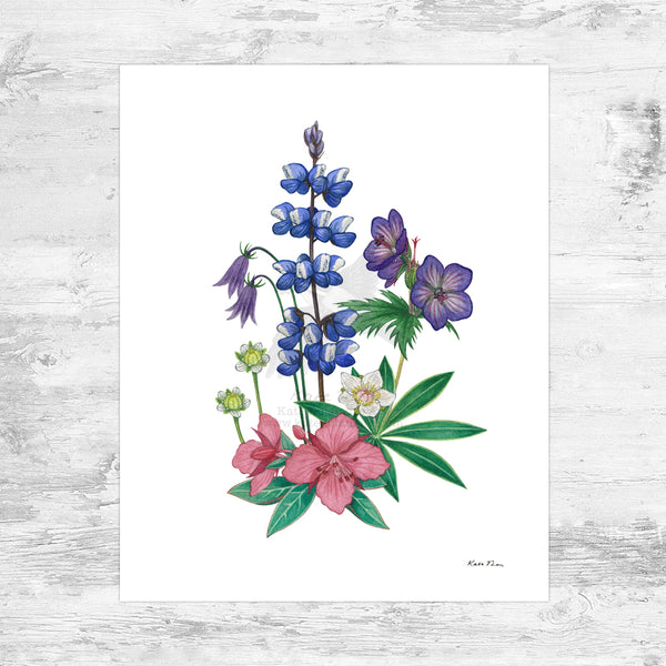 Alaska Wildflower Bouquet (Valdez Edition) Art Print – Kate
