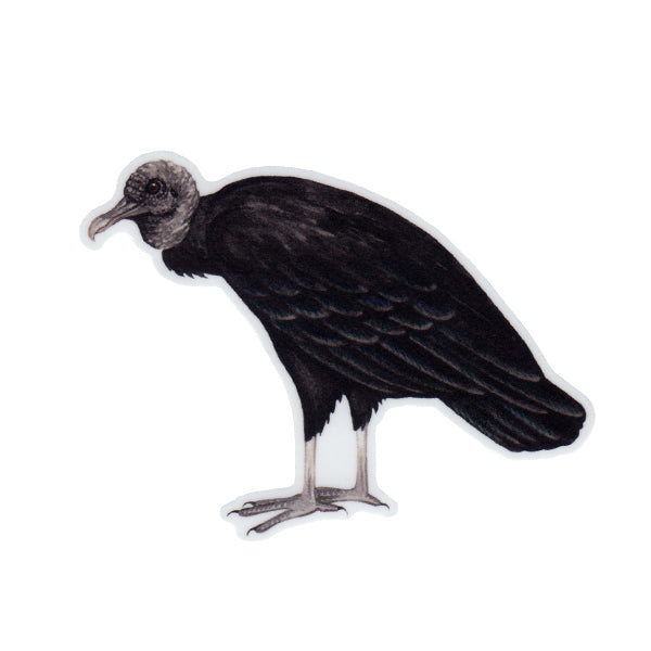 Black Vulture (Hunched) Vinyl Sticker