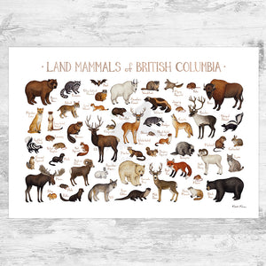 British Columbia Land Mammals Field Guide Art Print