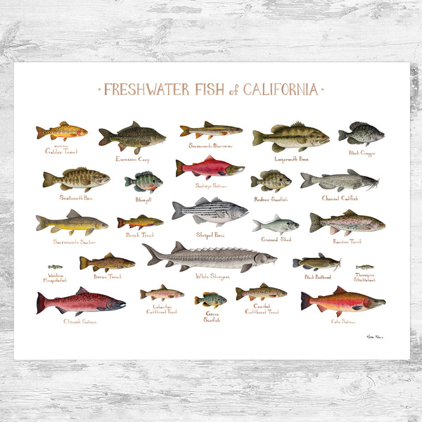 California Freshwater Fish Field Guide Art Print