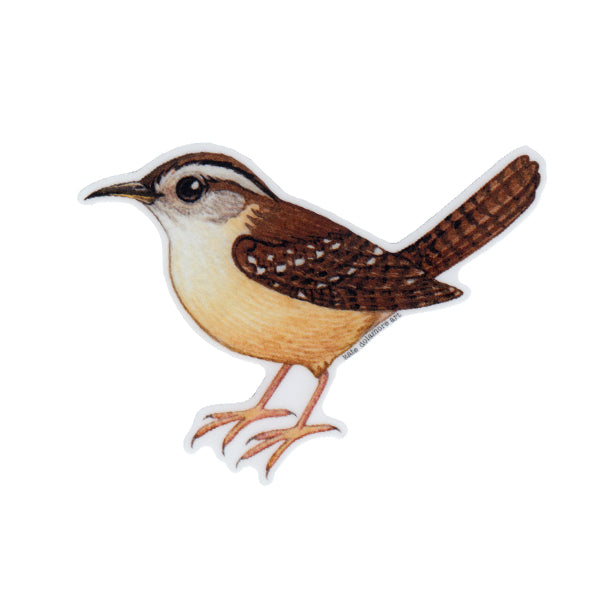 Carolina Wren Vinyl Sticker
