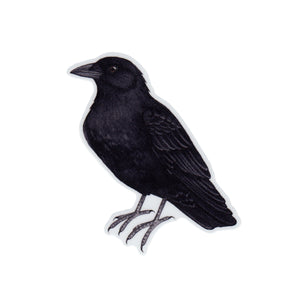 American Crow Vinyl Sticker