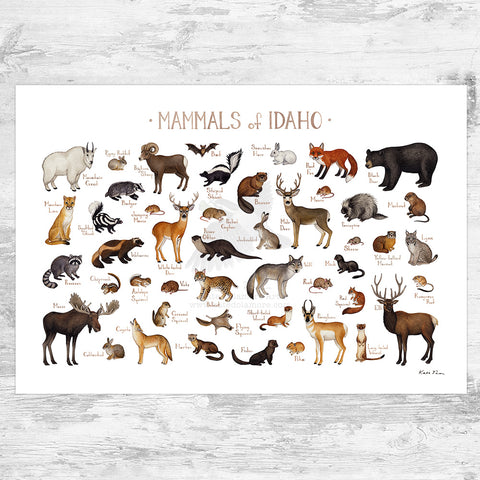 Idaho Mammals Field Guide Art Print