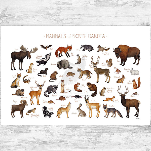 North Dakota Mammals Field Guide Art Print