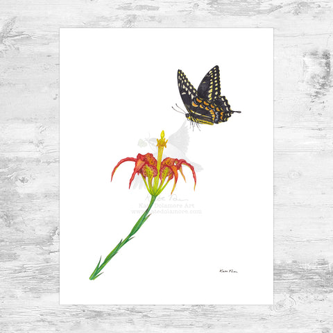 Palamedes Swallowtail on Pine Lily Art Print