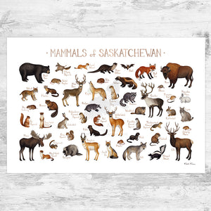 Saskatchewan Mammals Field Guide Art Print