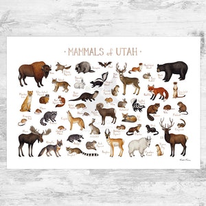 Utah Mammals Field Guide Art Print