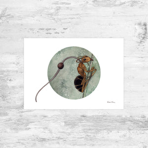Zombie Ant (Ophiocordyceps unilateralis) Art Print