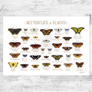 Alberta Butterflies Field Guide Art Print