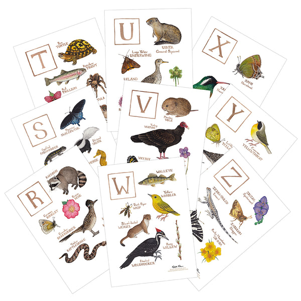 Nature Alphabet 5x7 Card Set