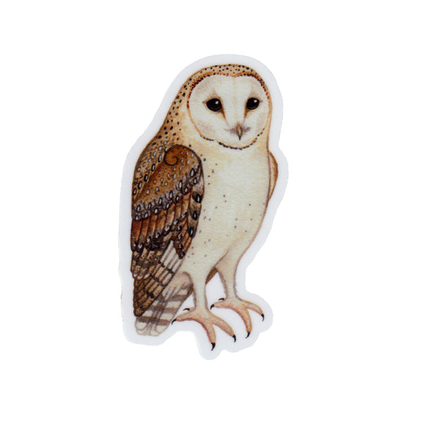 Barn Owl Vinyl Sticker