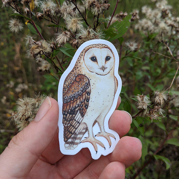 Barn Owl Vinyl Sticker
