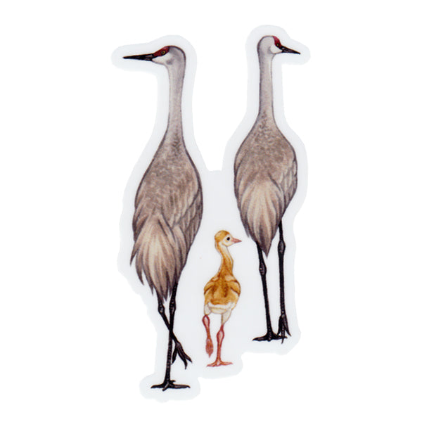 Sandhill Crane Family Vinyl Sticker – Kate Dolamore Art