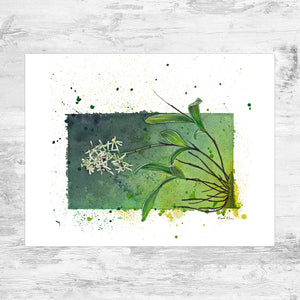 Green Fly Orchid Art Print