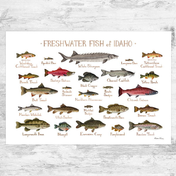 Idaho Freshwater Fish Field Guide Art Print