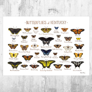Kentucky Butterflies Field Guide Art Print