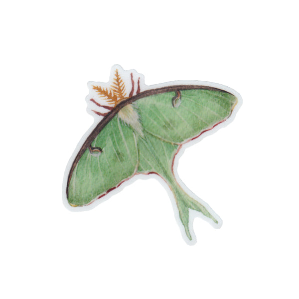 Luna Moth Vinyl Sticker