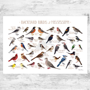Mississippi Backyard Birds Field Guide Art Print