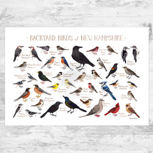 New Hampshire Backyard Birds Field Guide Art Print