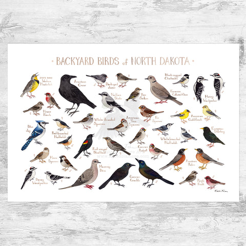 North Dakota Backyard Birds Field Guide Art Print