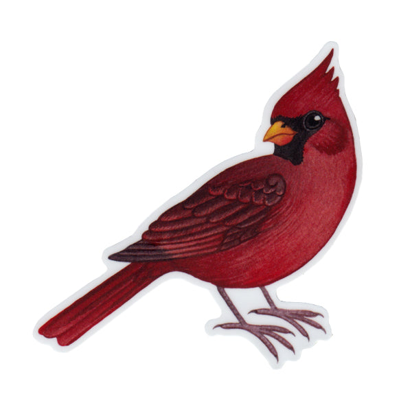 Cardinal Sticker, Red Cardinal Art, Red Bird, Vinyl Waterproof