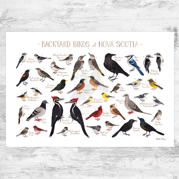 Nova Scotia Backyard Birds Field Guide Art Print