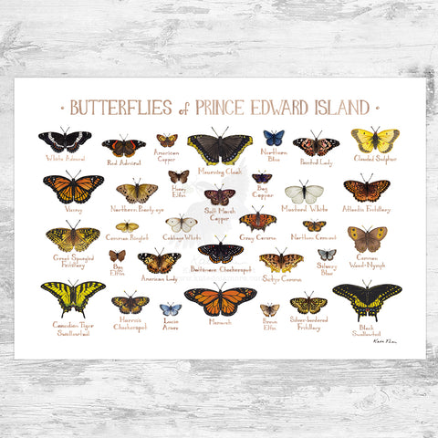 Prince Edward Island Butterflies Field Guide Art Print
