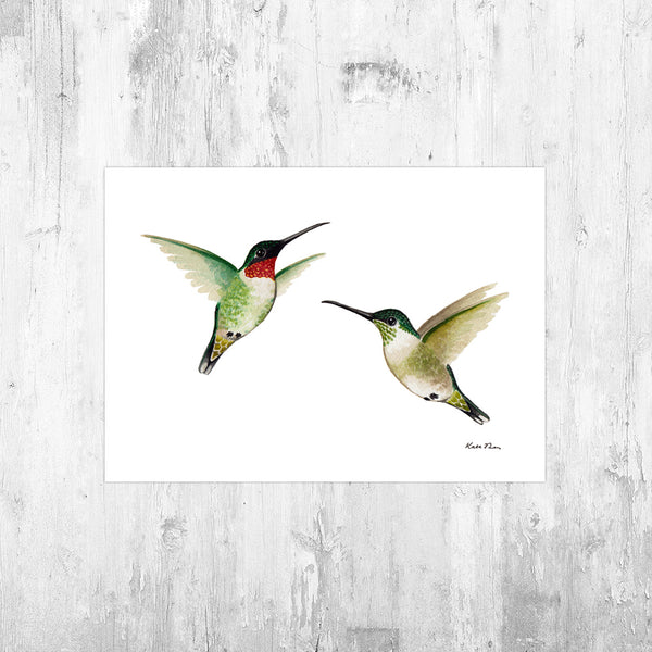 Ruby-throated Hummingbirds Art Print – Kate Dolamore Art