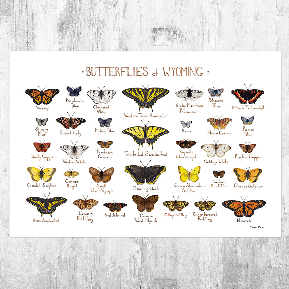 Wyoming Butterflies Field Guide Art Print