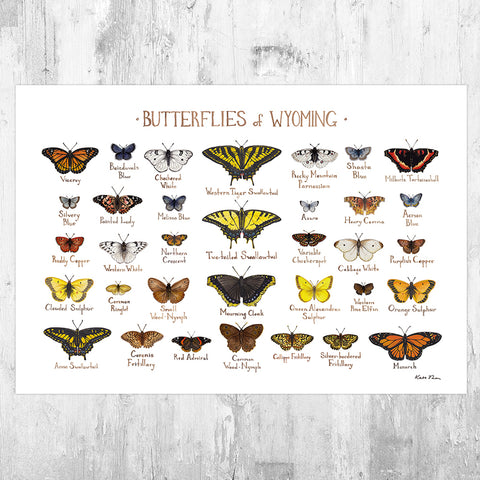 Wyoming Butterflies Field Guide Art Print