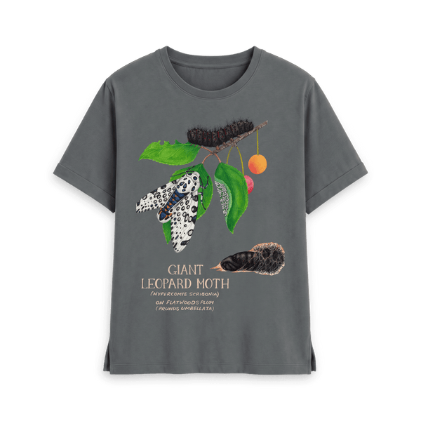 Slate Grey Printed T-shirt Front