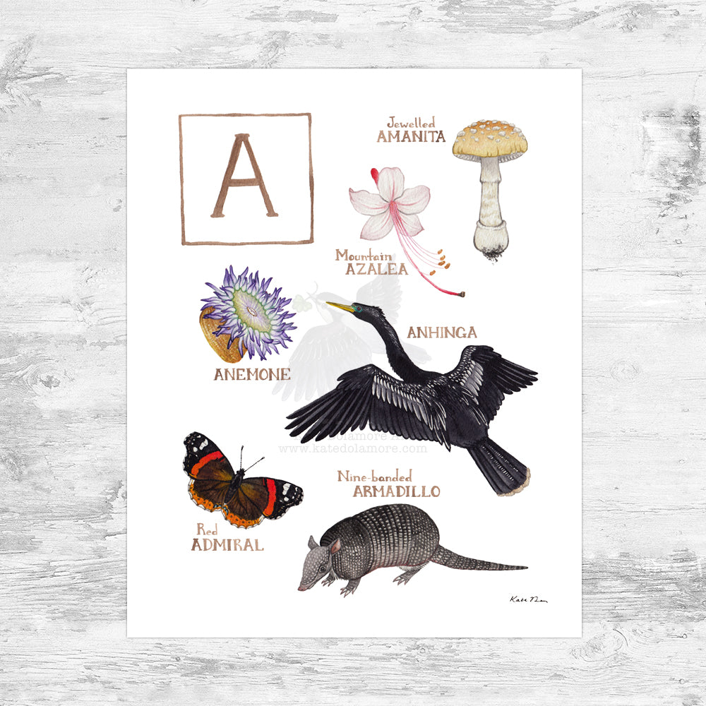 The Letter A Nature Art Print