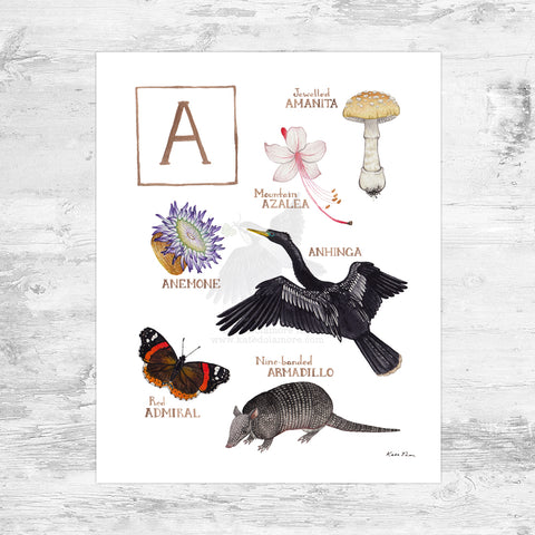 The Letter A Nature Art Print