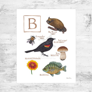 The Letter B Nature Art Print