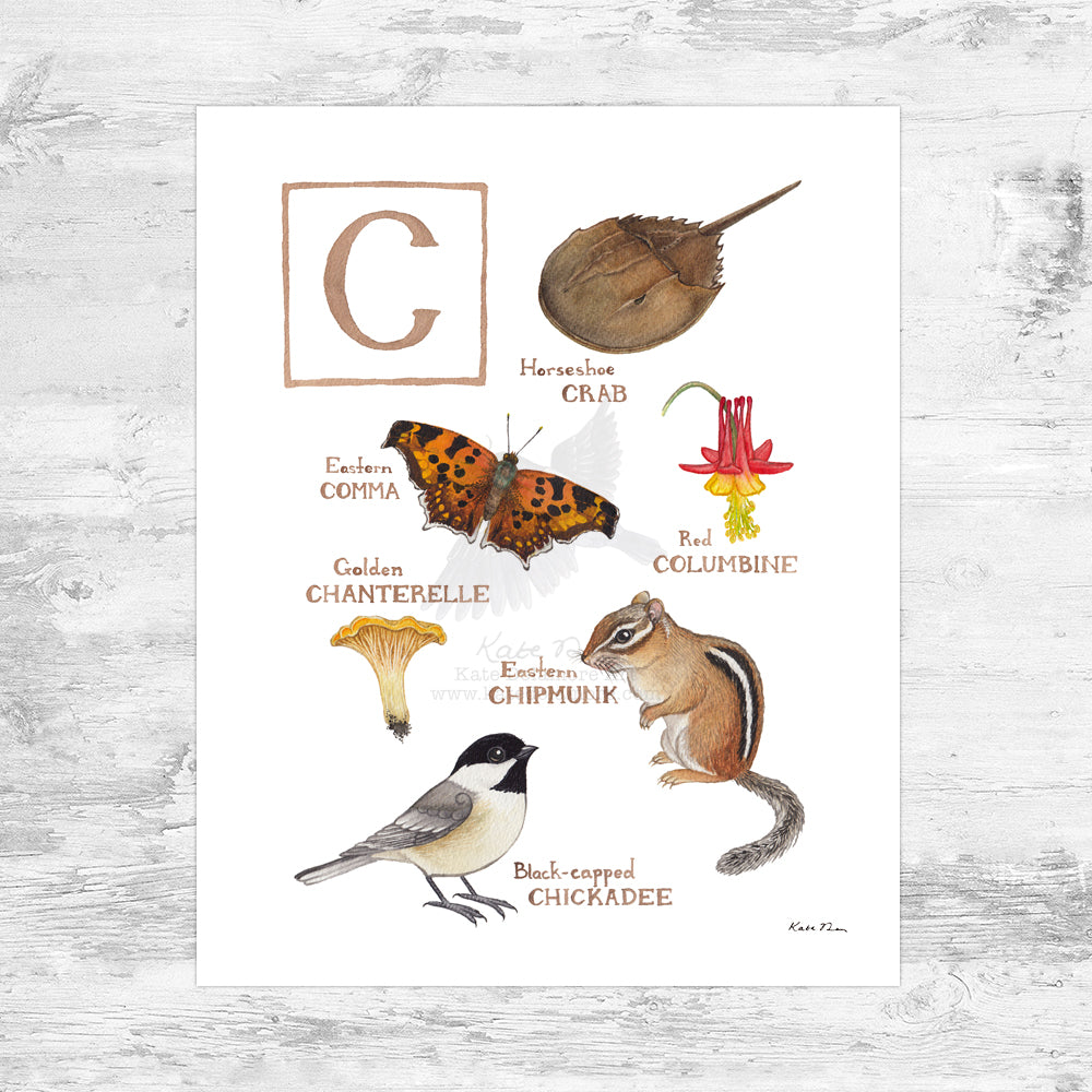 The Letter C Nature Art Print