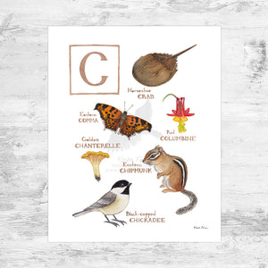 The Letter C Nature Art Print